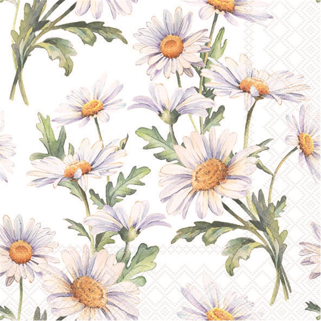 PAQUET 20 TOVALLONS PAPER 33x33cm MOD.BEAUTIFUL DAISIES WHITE AMBIENTE (1 PQ)