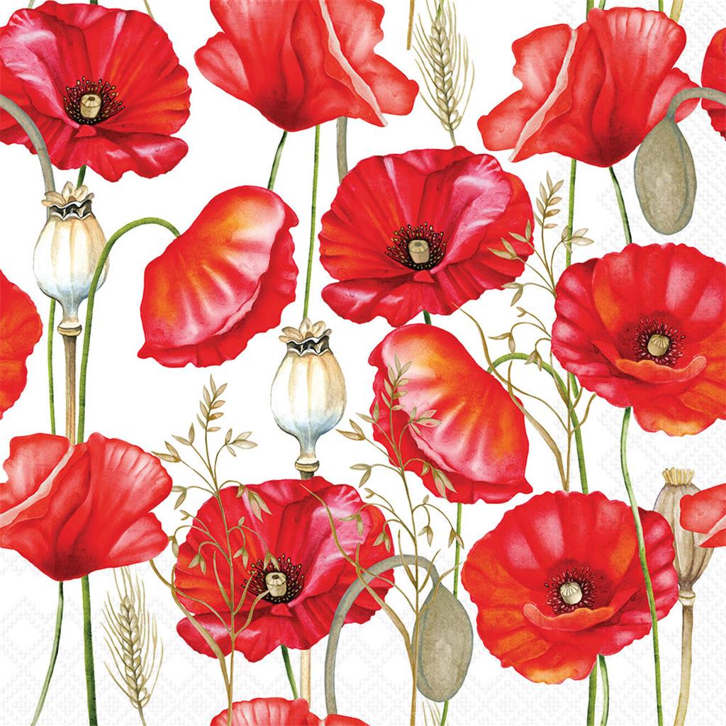 PAQUET 20 TOVALLONS PAPER 33x33cm MOD.POPPY ALL OVER WHITE AMBIENTE (1 PQ)
