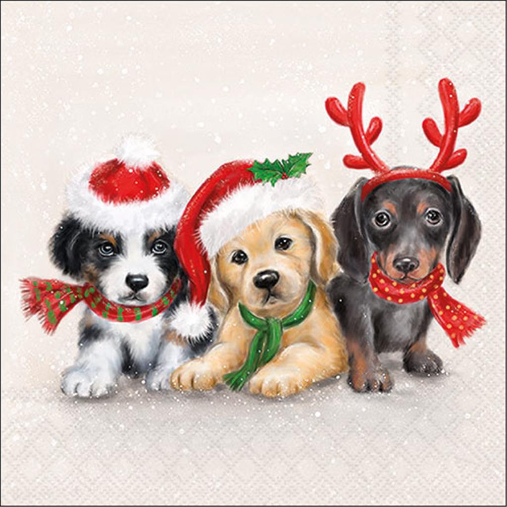 PAQUET 20 TOVALLONS PAPER 33x33cm MOD.SWEET DOGS FSC MIX AMBIENTE (1 PQ)