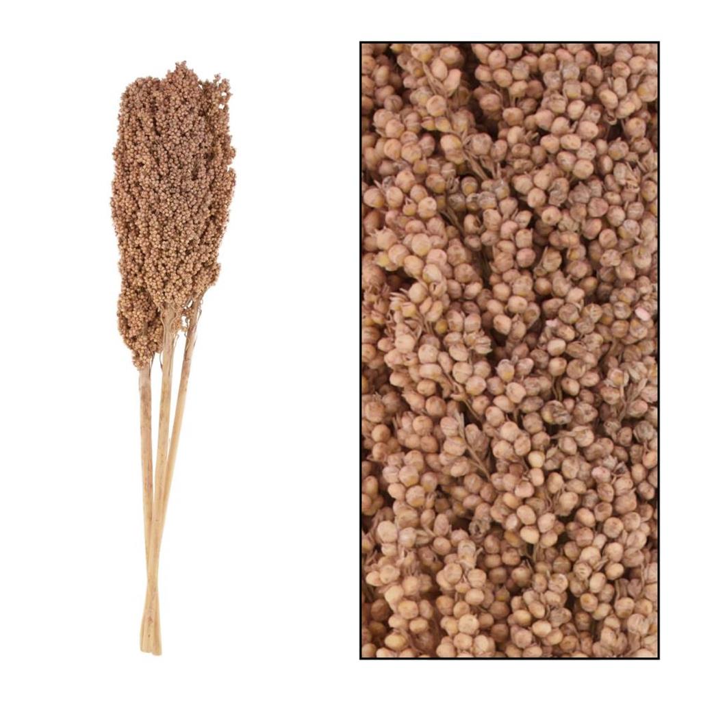 SET 3 UDS FLOR SECA 70x10x6.5 (1 PQ)