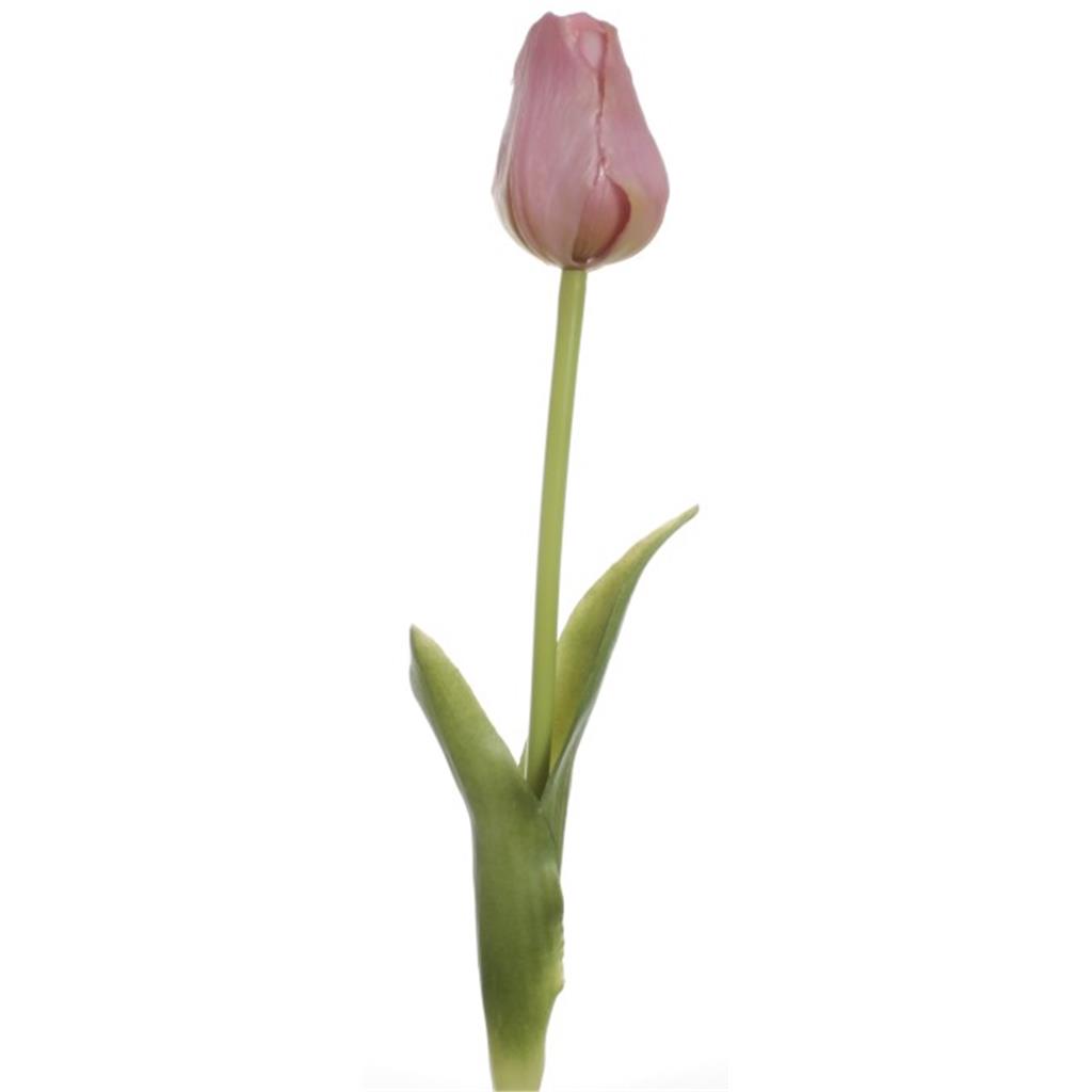 VARA TULIPAN GOMA LILA DECO HOME & GARDEN (1 UD)