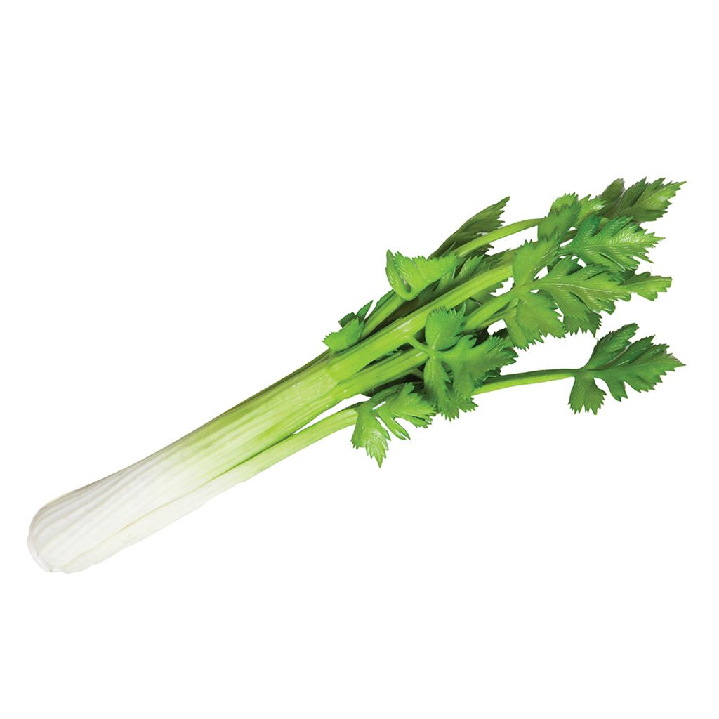 API LLISA FRUITES I VERDURES CATRAL (1 UD)