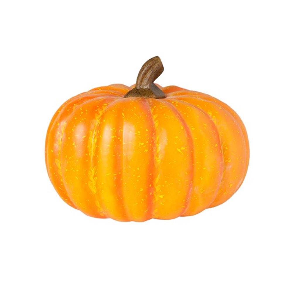 CARBASSA AMERICANA PETITA FRUITES I VERDURES CATRAL (1 UD)
