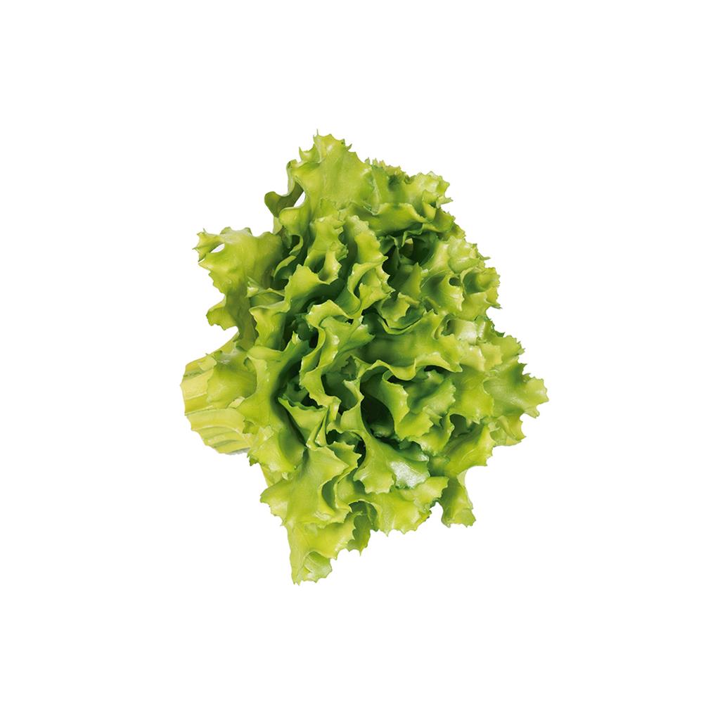 ENCIAM ROBLE FRUITES I VERDURES CATRAL (1 UD)