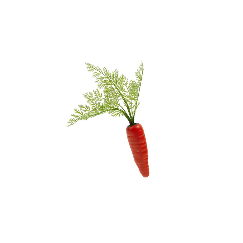 PASTANAGA FRUITES I VERDURES CATRAL (1 UD)