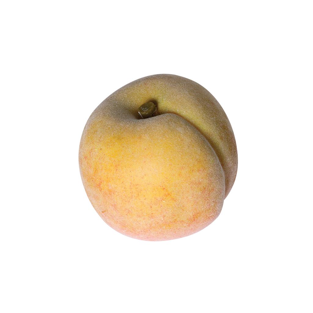 PR&Egrave;SSEC FRUITES I VERDURES CATRAL (1 UD)