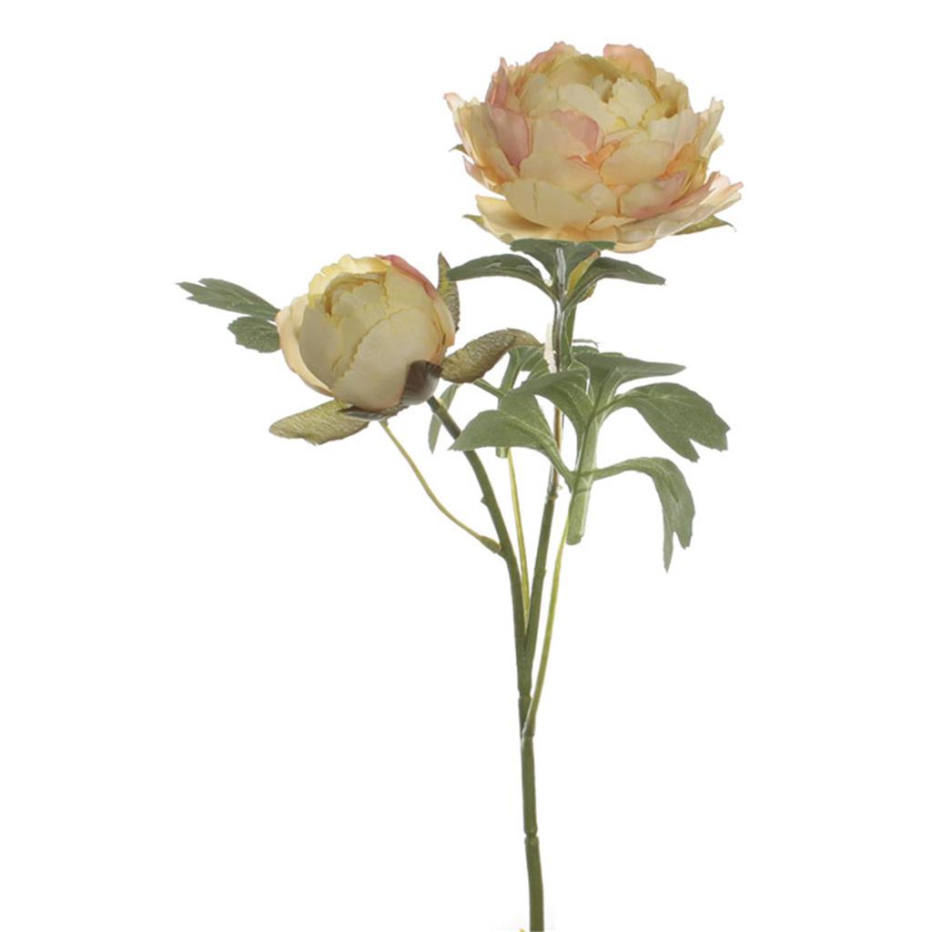 FLOR/VARA RANUNCULO 2 uds GROGA (1 UD)