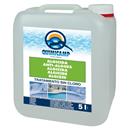 ALGICIDA DS 50 LIQUID 5 lts DOSACLOR REF. 255205 (1 UD)