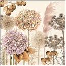 PAQUET 20 TOVALLONS PAPER 33x33cm MOD.DRIED FLOWERS AMBIENTE (1 PQ)