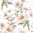 PAQUET 20 TOVALLONS PAPER 33x33cm MOD.BEAUTIFUL DAISIES WHITE AMBIENTE (1 PQ)