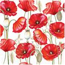 PAQUET 20 TOVALLONS PAPER 33x33cm MOD.POPPY ALL OVER WHITE AMBIENTE (1 PQ)