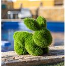 FIGURA AMB GESPA ARTIFICIAL MOD.CONILL 22x40x30cm FAURA (1 UD)
