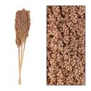 SET 3 UDS FLOR SECA 70x10x6.5 (1 PQ)