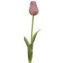 VARA TULIPAN GOMA LILA DECO HOME & GARDEN (1 UD)