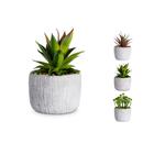 PLANTA ARTIFICIAL PLAST 11 ASSORTIT PENGO (1 UD)