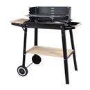 BARBACOA CARBO HABITEX MOD.SUPERGRILL 49 (1 UD)