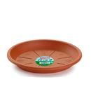 PLAT POLIPROPILE Diam.20cm PER TEST TERRACOTA (1 UD)
